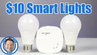 Smart Home Lighting on a Budget | Sengled Lights Best Tutorial