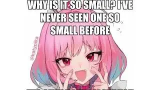 Why is it so small?