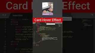 Animated Card Hover Effects 