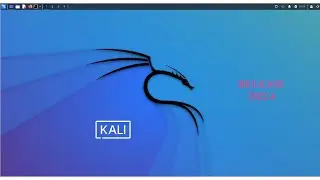 How to Install Kali Linux