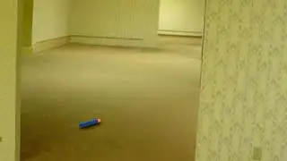 nerf dart