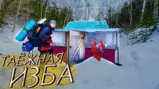 ОДИН В ТАЙГЕ - ДОМ В ГЛУШИ | Приютила ЛЕСНАЯ ИЗБА | ТАЁЖНАЯ ЖИЗНЬ