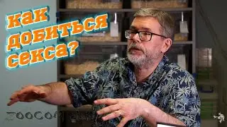 Как развести змею? Секреты от лучшего мастера.