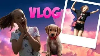 𝚅𝙻𝙾𝙶/гуляю с подругой//❤️А ВЫ БРАЛИ ИНТЕРВЬЮ У СОБАКИ?🤭🐕