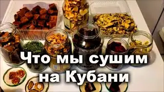 Запасы на зиму: пастила, чипсы, сухофрукты / Сушим в 