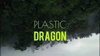 Plastic Dragon