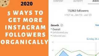 2020 Quick!! Top 5 Ways to Gain More Instagram Followers Organically