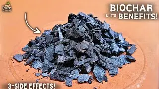 Benefits & Uses Of Biochar For Plants! (Use This WAY...)