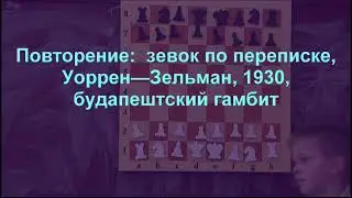 25. Повторение зевок по переписке, Уоррен Зельман