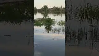 Как же прекрасно на Днестре!