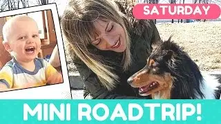 🐤EASTER Weekend Part 2: Nephew’s Birthday Party, Trying a Massaging Chair?+ADORABLE DOGS!