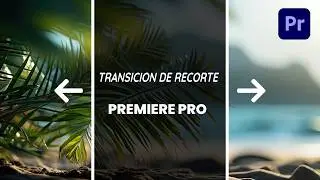 Cómo Hacer una Transición de Pantalla Dividida en Premiere Pro