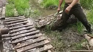 Отвечаю на ваши Вопросы. Династия Романовых-Я Ханжа!