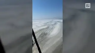 Mare Adriatico, è allarme mucillagine: 