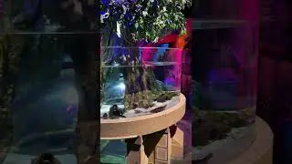 Daniel and SeaWorld/Daniel’s Adventure/Last Dragon/Данила исследует подводный мир 🗺️🐟🐠🐋