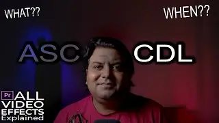 ASC CDL | Video Effect-7 | All Video Effects Explained | Premiere Pro