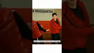 YOUTUBER MENANTANG PETINJU PROFESIONAL !! HASILNYA TRAGIS 