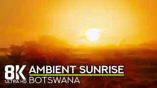 Ambient Sounds of African Savannah - 8K Scenic Sunrise in Mabuasehube, Botswana