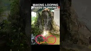 How to make a looping video from a Live Photo? #Shorts #iPhoneTips #LivePhotos