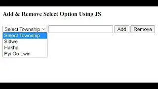 Add & Remove Select Option Using JavaScript