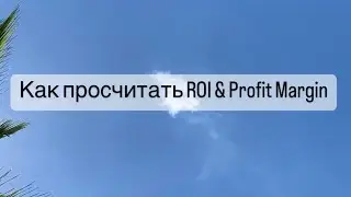 Что такое ROI и Profit Margin. Как просчитать ROI. Как просчитать Profit Margin.