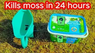 How to Remove Moss from the Lawn - an Effective way. Unboxing a Garden Seeder