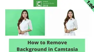 How to Remove Background in Camtasia