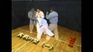 Ashihara Karate: Jissen Kata 1