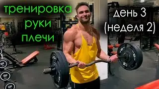 ТРЕНИРОВКА РУК И ПЛЕЧ! Среда, неделя 2
