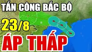 🔴[Trực Tiếp] Dự báo thời tiết hôm nay và ngày mai 23/8/2024 | dự báo thời tiết 3 ngày tới