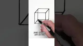 Solving Perspective Drawing Puzzles