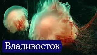 Владивосток: как русская колония на другой планете. Путешествие на Дальний Восток — Отчёт разведки