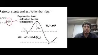 Topic 7.5A - Influences on rate constants part 1