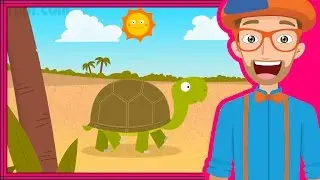 The Tortoise Song by Blippi | Animals for Toddlers