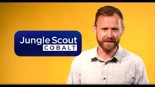 Smartest Seller Cobalt Pricing review