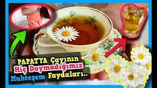 Papatya Çayının Faydaları | Papatya Çayı Hangi Hastalıklara İyi Gelir?Papatya Çayı Faydaları Neler?