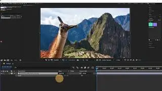 1/9 After Effects for Beginners: The Workspace