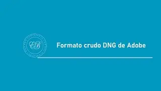 8- Formato crudo DNG de Adobe | Lightroom Classic 2024