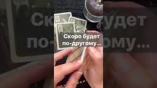 Срочно❗️Что в Будущем?  🌓✨ Расклад таро #shorts  #онлайнгадание