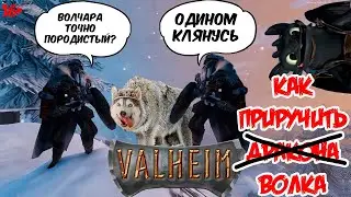 Valheim | Валхейм Гайд как легко приручить Волка в игре! Зачем нам нужен Волк?