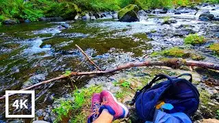 Eagle Creek Trail to Punch Bowl Falls