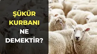 Şükür Kurbanı Ne Demektir?