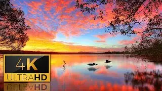 Beautiful Meditation Music | Healing Music, Peaceful Music, Manifestation, Yoga Music, Stress Free