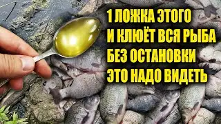 КЛЮЁТ ВСЯ РЫБА, СЕКРЕТ КЛЁВА СССР. Всего 1 ложка и будет не рыбалка а бешеный клёв