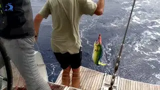 fishing from yacht, trolling. www.atlas-yacht.ru