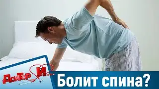 Почему болит спина. “Доктор И“