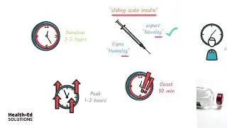 Types of Insulin and How It Works