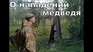 НАПАДЕНИЕ МЕДВЕДЯ.ПОДРАНОК.