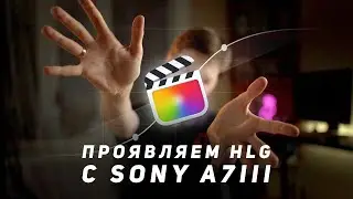 Проявляем HLG с SONY A73 в Final Cut Pro x