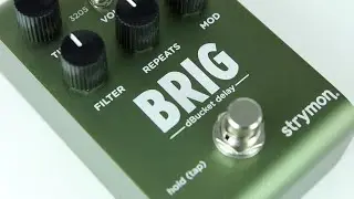 Strymon Brig dBucket Delay